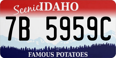 ID license plate 7B5959C