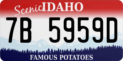 ID license plate 7B5959D