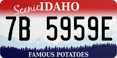 ID license plate 7B5959E