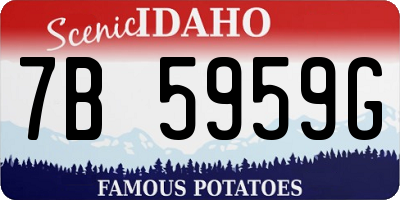 ID license plate 7B5959G