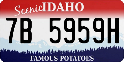 ID license plate 7B5959H