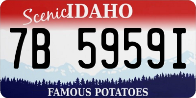 ID license plate 7B5959I