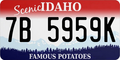 ID license plate 7B5959K