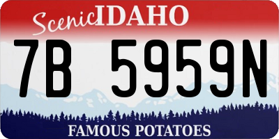 ID license plate 7B5959N