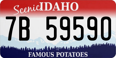 ID license plate 7B5959O