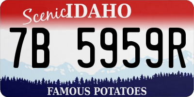 ID license plate 7B5959R