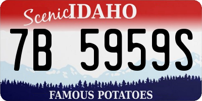 ID license plate 7B5959S