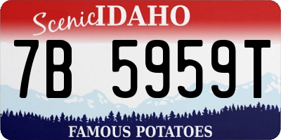 ID license plate 7B5959T