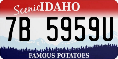 ID license plate 7B5959U