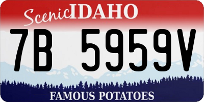ID license plate 7B5959V