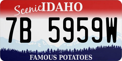 ID license plate 7B5959W