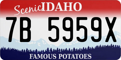 ID license plate 7B5959X