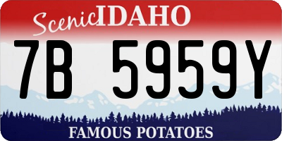 ID license plate 7B5959Y