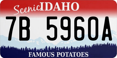ID license plate 7B5960A