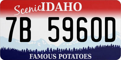 ID license plate 7B5960D
