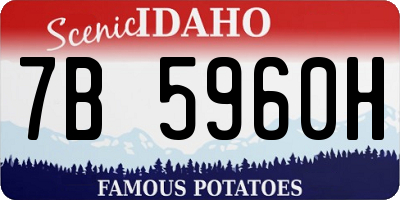 ID license plate 7B5960H
