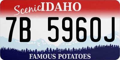 ID license plate 7B5960J