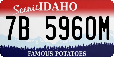 ID license plate 7B5960M