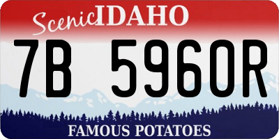 ID license plate 7B5960R