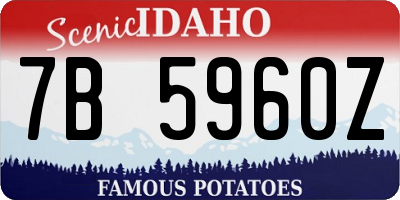 ID license plate 7B5960Z