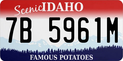 ID license plate 7B5961M