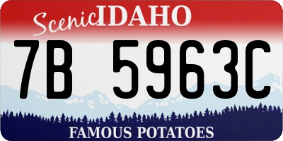 ID license plate 7B5963C