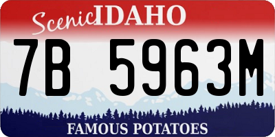 ID license plate 7B5963M