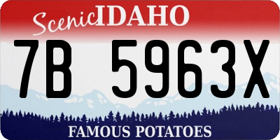 ID license plate 7B5963X
