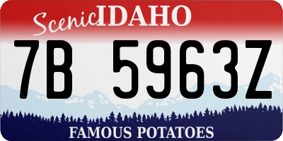 ID license plate 7B5963Z
