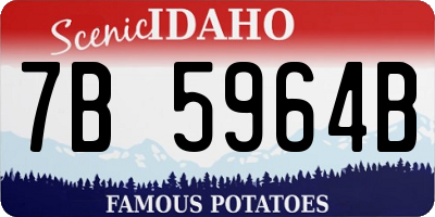 ID license plate 7B5964B