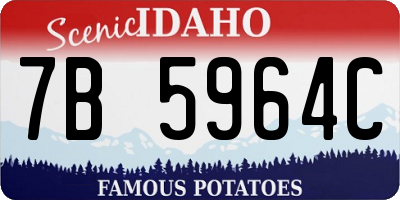 ID license plate 7B5964C