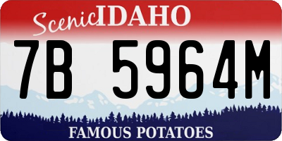 ID license plate 7B5964M