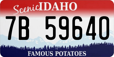 ID license plate 7B5964O