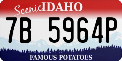 ID license plate 7B5964P