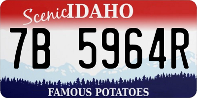 ID license plate 7B5964R