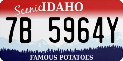 ID license plate 7B5964Y