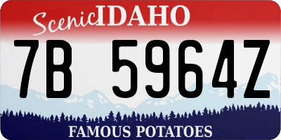 ID license plate 7B5964Z