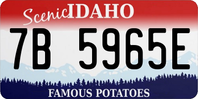 ID license plate 7B5965E