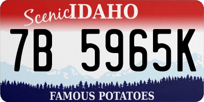 ID license plate 7B5965K