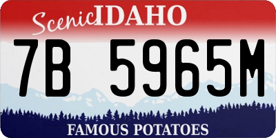 ID license plate 7B5965M