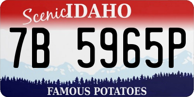 ID license plate 7B5965P
