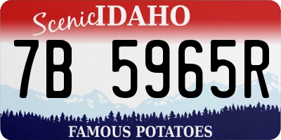 ID license plate 7B5965R