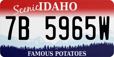 ID license plate 7B5965W
