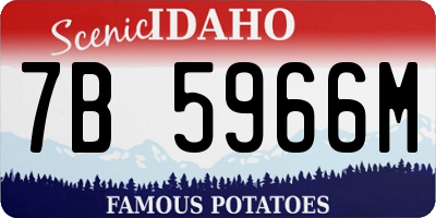 ID license plate 7B5966M