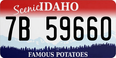ID license plate 7B5966O