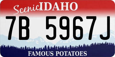 ID license plate 7B5967J