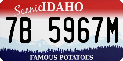 ID license plate 7B5967M