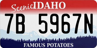 ID license plate 7B5967N