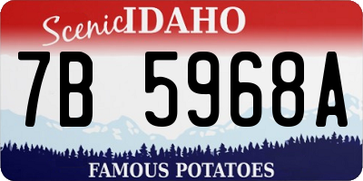 ID license plate 7B5968A