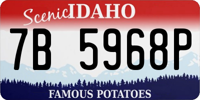 ID license plate 7B5968P